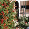 Отель Residence Paradiso, фото 6
