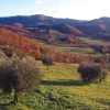 Отель Agriturismo Casa Cresta, фото 9