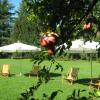 Отель B&B Villa Miani, фото 7