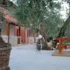 Отель Villa Calma, фото 1