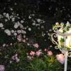 Отель Rose e Cioccolato B&B, фото 11
