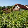 Отель Vineyard cottage Luštek, фото 4