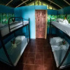 Отель Corcovado Jungle Hostel, фото 5