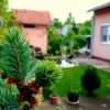 Отель Apartment Divald, фото 3