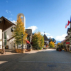 Отель Vail Mountain Lodging by East West Hospitality, фото 1