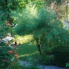 Отель Flóra Apartman, фото 3