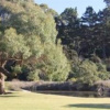 Отель Tawharanui Lodge, фото 6