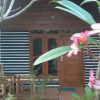 Отель One World Bungalow, фото 3