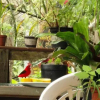 Отель Pousada Beehouse, фото 5