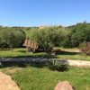 Отель Agriturismo Campesi, фото 11