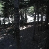 Отель Mammoth View Villas 35, фото 1