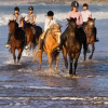 Отель Amanzimtoti Beach Rest, фото 4