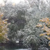 Отель Estancia Los Morros, фото 9