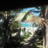 Отель Caribbean Queen, фото 2