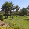 Отель Villa Lido Sabbioso, фото 6