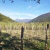 Отель B&B Il Chioso, фото 9