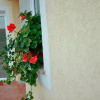 Отель Pansion Veso, фото 7