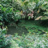 Отель Albergue de Montaña Talari, фото 8