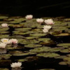 Отель Parador Hampel, фото 2