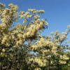 Отель I Zuclein, фото 3