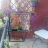 Отель B&B Salviani, фото 8