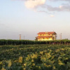 Отель B&B Villagrande, фото 8