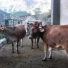 Отель Alojamiento Rural La Montaña, фото 9