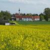 Отель Landgasthof-Hotel zum alten Wirth, фото 16