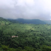Отель Goomtee Tea Resort, фото 9