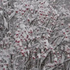 Отель Ostello Per La Gioventù, фото 8