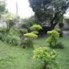 Отель Villa Lapaloma Guest House, фото 7