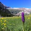 Отель Albergue Monte Perdido, фото 24