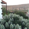 Отель Casa Rural Los Quintana, фото 6