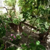 Отель B&B Nonna Peppina, фото 11