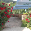 Отель Dulbašca, фото 8