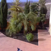 Отель Villa Roque del Conde, фото 2