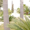 Отель Tenuta Giardini Del Salento, фото 7