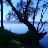 Отель Waterfront Jervis Bay Escape Cooinda, фото 8