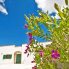 Отель Masseria Marianna, фото 1