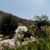 Отель B&B Il Giardino delle Camelie, фото 14