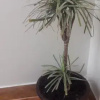 Отель Hostal Catalina, фото 9