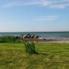 Отель Haapsu Holiday Home, фото 5