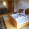Отель Apartment Haus Dahoam, фото 5