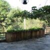 Отель Paradise Holidays Guest House, фото 11