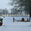 Отель Landgoed Nieuwhuis, фото 9