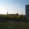 Отель Affittacamere La Palazzina, фото 1
