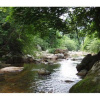 Отель Pyeongchang Borae Valley Pension, фото 12