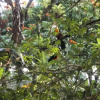 Отель Pousada Arboretum, фото 5