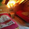 Отель Chalet Le Roncing, фото 1