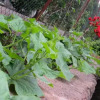 Отель ÖkoHausNamasté, фото 10
